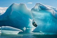 Jökulsárlón