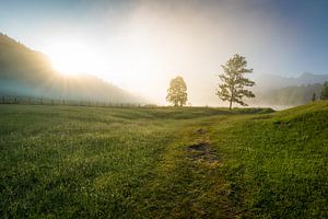 Sommermorgen im Karwendel