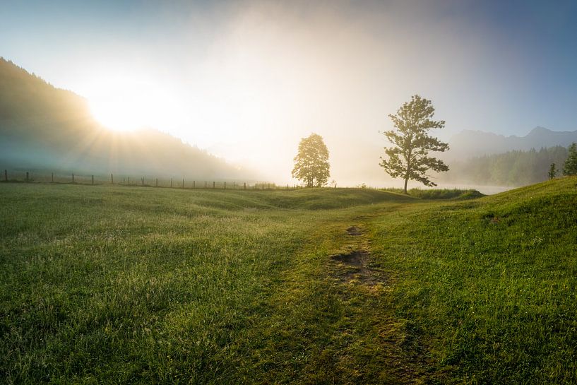 Sommermorgen im Karwendel von Martin Wasilewski