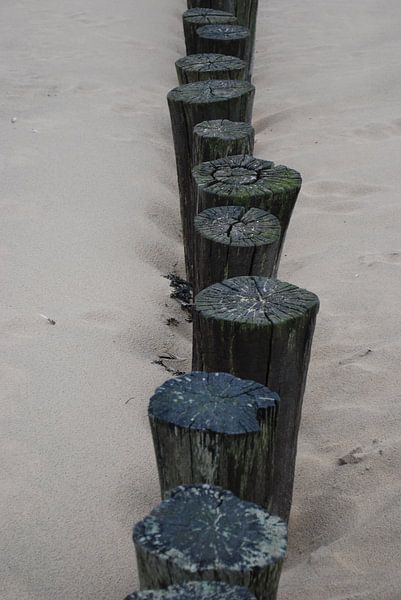 Strand van Ameland von Jetty Boterhoek