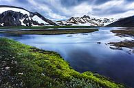 IJslands landschap met water, bergen en mos van Yvette Baur thumbnail