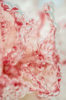 Rood en Roze Abstracte Foto | Water