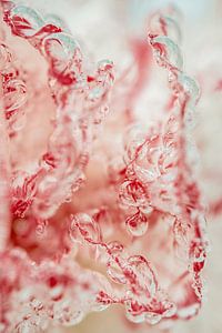 Rood en Roze Abstracte Foto | Water