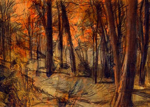 Avondrood in het bos