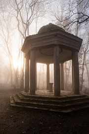 Wald Hohenstein4 von Lorant Petrik
