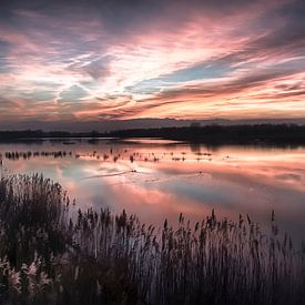 Red Sunset van Robert Van Der Linde