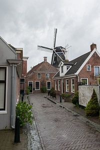 Blick auf die Mühle von Winsum