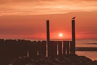 Sunset Domburg