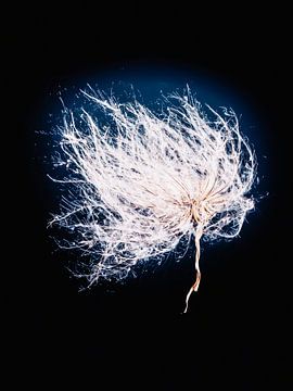 Verträumte Bewegung von Thea