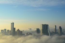 Brouillard matinal sur Marcel van Duinen