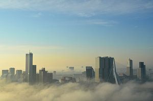 Brouillard matinal