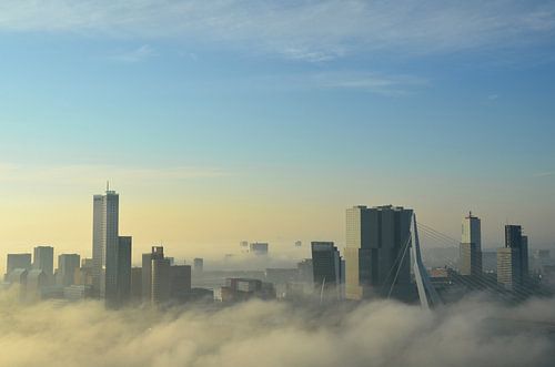 Early morning fog