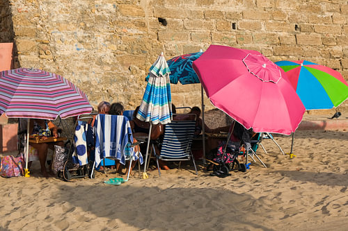 The parasol