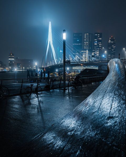 Erasmusburg la nuit par Nick Boerkamp