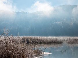 Winterlandschap met meer