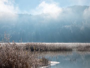 Winterlandschaft mit See von Mustafa Kurnaz