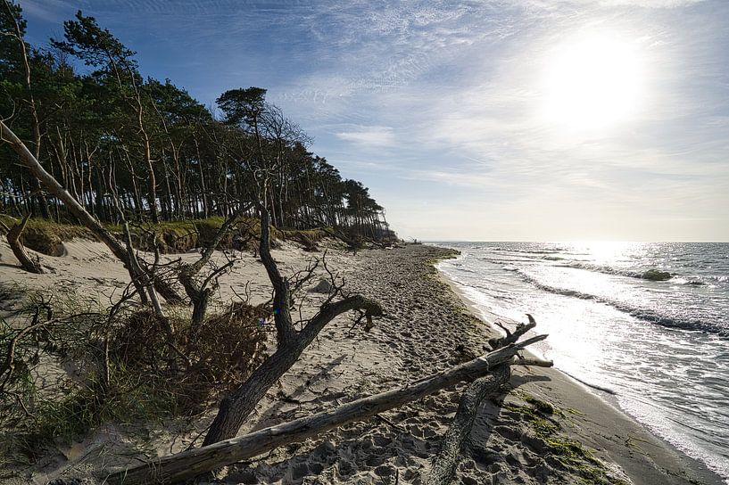 On the sandy beach of the Baltic Sea coast by Martin Köbsch