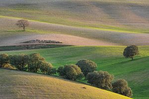 Het Toscane van Andalusië van Leontine van der Stouw