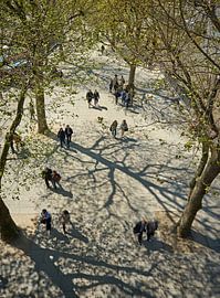 People walking in pairs along the Thames, London by Michael Echteld