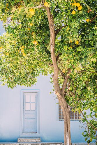 Blue House and Lemon Tree by Patrycja Polechonska