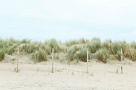Stille Dünen in Kijkduin von Leen Van de Sande