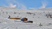 Norwegen, Rondane van Michael Schreier thumbnail