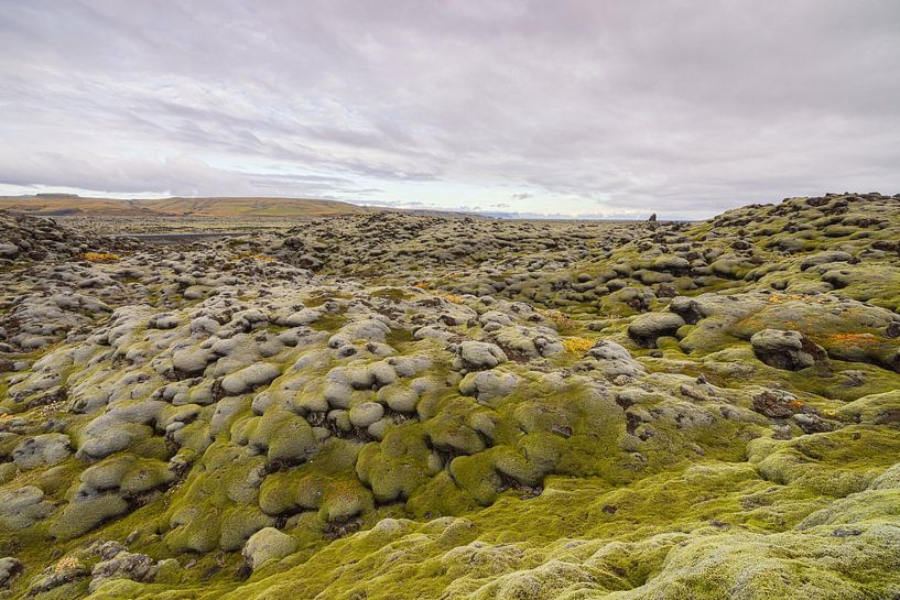 Lava fields Eldhraun (Iceland) by Marcel Kerdijk