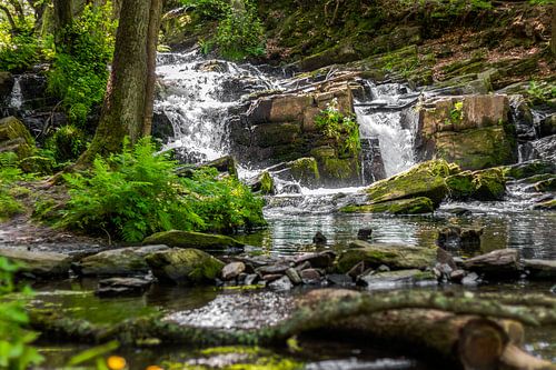 Kleine waterval in de Selke vallei