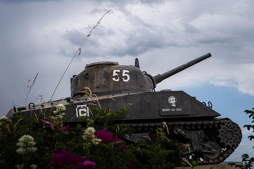 Beeren-Au-Bac-Tank von Ryan van Pelt