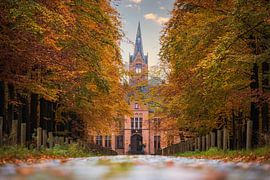 Ryckevelde Castle by Lisa Dumon