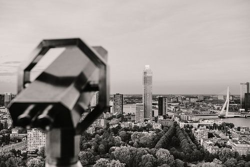 Rotterdam vanaf de Euromast