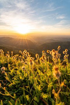 blumiger Sonnenuntergang am Hochgrat mit blick auf Oberstaufen von Leo Schindzielorz