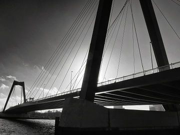 Willemsbrug Rotterdam von Bob Bleeker