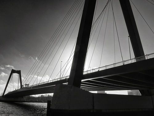 Willemsbrug Rotterdam