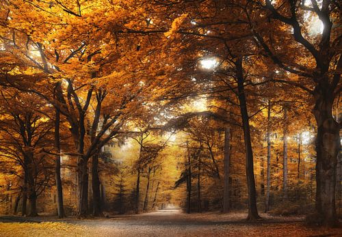 Under the yellow tree