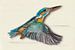 IJsvogel met schaduw vogel illustratie van Angela Peters
