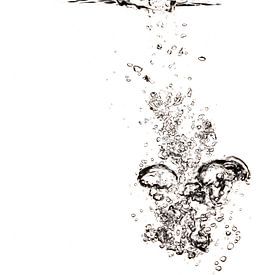 Lucht vliegt in het water van Andreas Hackl