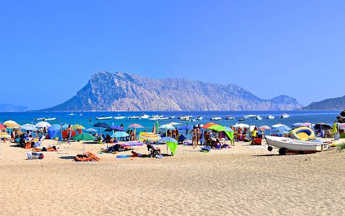 La Grande Montagne Isola Tavolara - Plage et Beauté Naturelle en Sardaigne