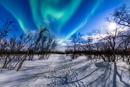 Spektakuläres Nordlicht bei Abisko, Schweden, eingefangen