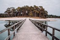 Henschotermeer Woudenberg | Utrechtse Heuvelrug | Nederland van Expeditie Aardbol thumbnail