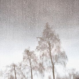 Mystieke reflectie van bomen in het water in zachte aardekleuren van Imaginative
