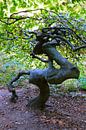 Cool beech by Ostsee Bilder thumbnail
