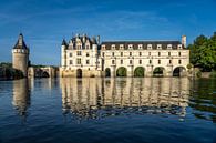 Kasteel van Chenonceau in de Loire-vallei, Chenonceaux, Frankrijk | Het kasteel van Chenonceau, Chen van Peter Schickert thumbnail