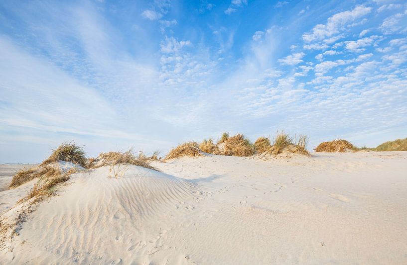 Dunes de Norderney - Paysage par Ursula Reins