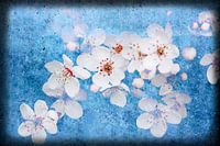 Magie des fleurs rétro