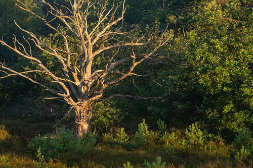 Les morts parmi les vivants