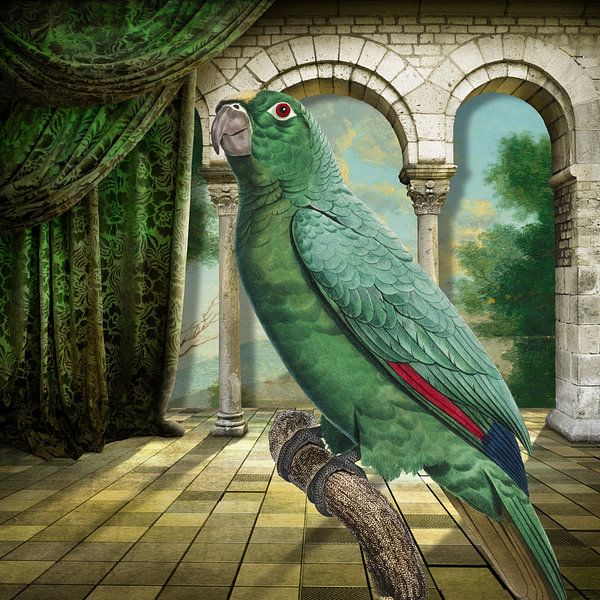 Tales of Parrots von Marja van den Hurk