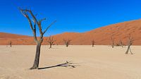 Dead Vlei Namibië