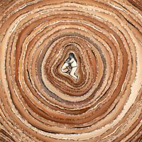 Embrassez votre enfant intérieur