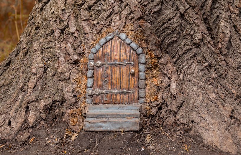 Miniaturhaus in einem Baum gemacht von ChrisWillemsen